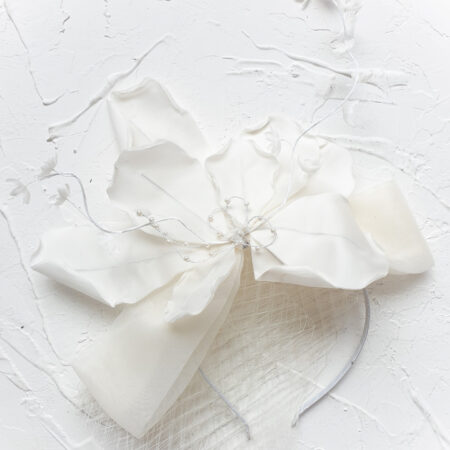 Delicate Ribboned Veil - White