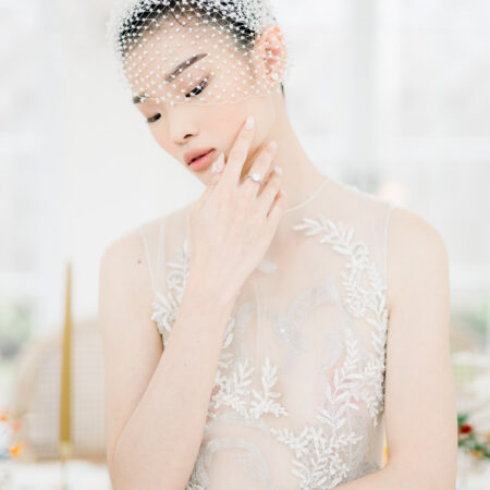 Pearled Birdcage Veil Half - White